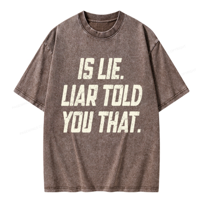 Pagewings Is Lie Liar Told You That Unisex Washed T-shirt