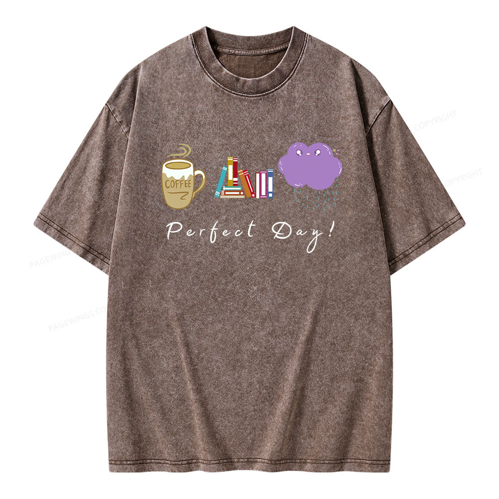 Pagewings Perfect Day Unisex Washed T-shirt