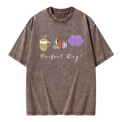 Pagewings Perfect Day Unisex Washed T-shirt