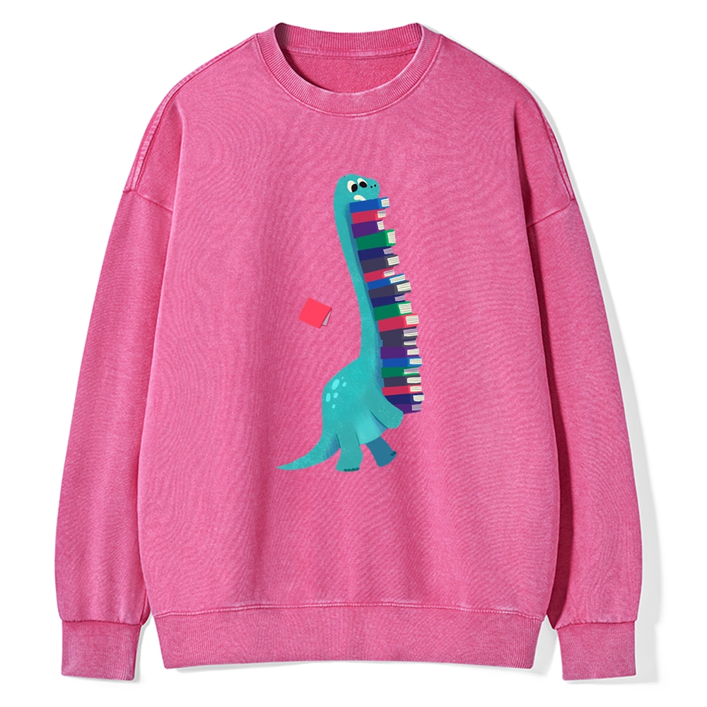 Pagewings Book Dinosaurs Unisex Washed Sweatshirt