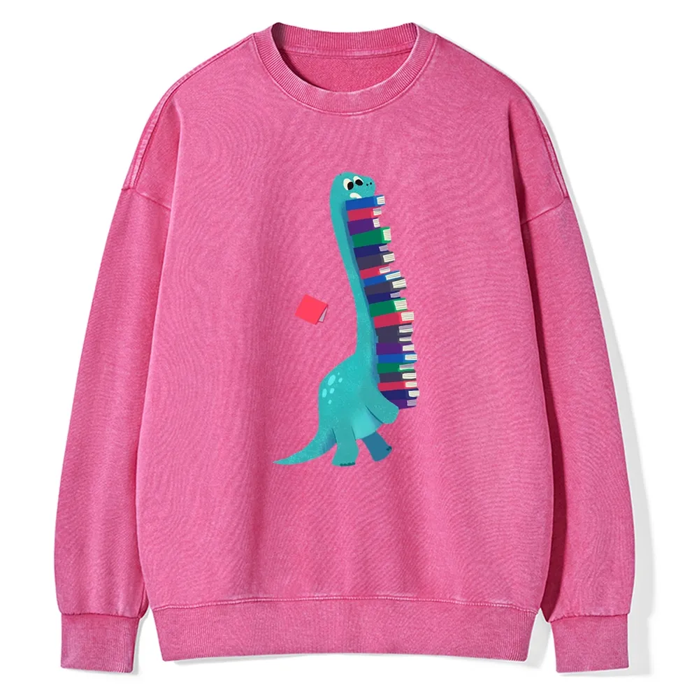 Pagewings Book Dinosaurs Unisex Washed Sweatshirt