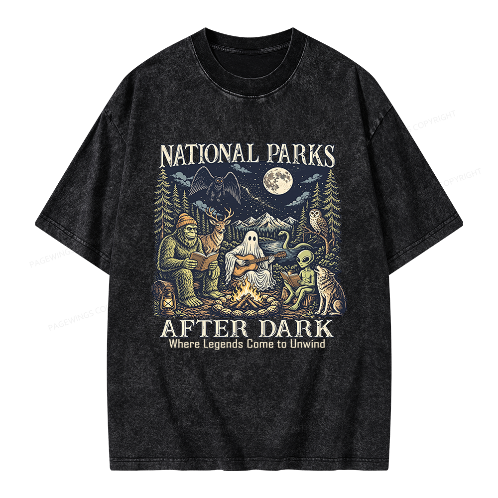 Pagewings National Parks After Dark Unisex Washed T-shirt