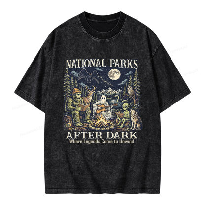 Pagewings National Parks After Dark Unisex Washed T-shirt