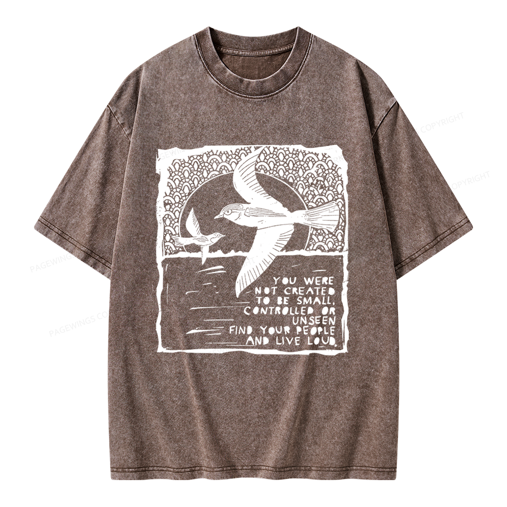 Pagewings I Support Are Public Libraries Unisex Washed T-shirt