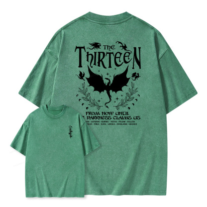Pagewings The Thirteen Unisex Washed T-shirt