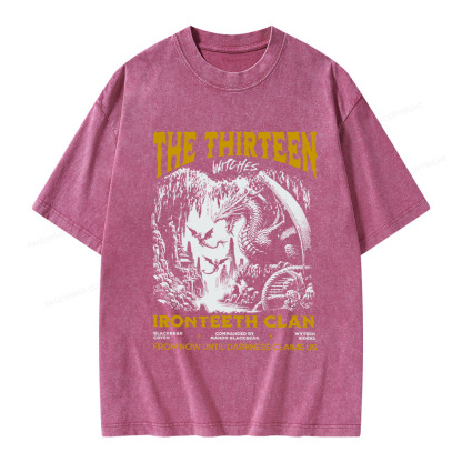 Pagewings The Thirteen Unisex Washed T-shirt