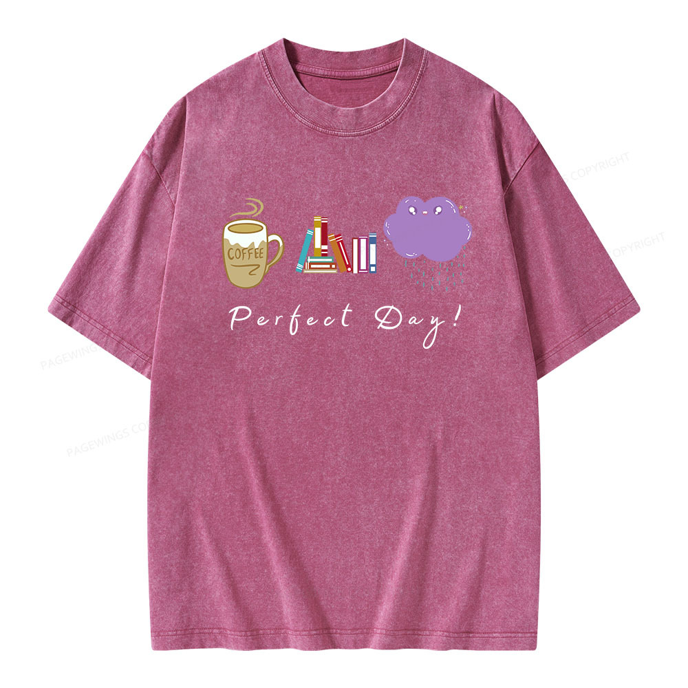 Pagewings Perfect Day Unisex Washed T-shirt