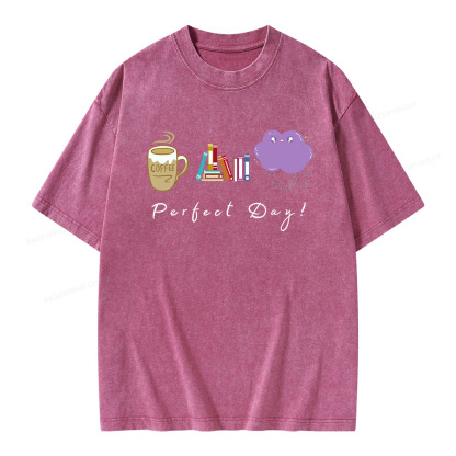 Pagewings Perfect Day Unisex Washed T-shirt