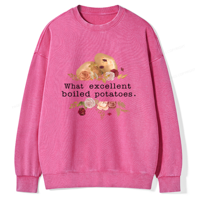 Pagewings Pride and Prejudice Unisex Washed Sweatshirt