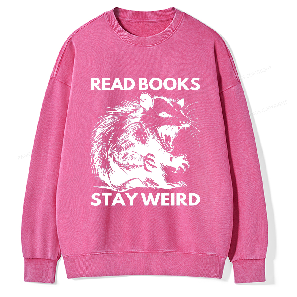 Pagewings Read Books Stay Weird Unisex Washed Sweatshirt