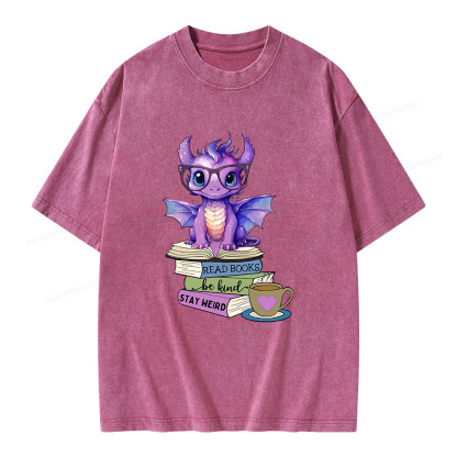 Pagewings Dragon Read Books Be Kind Stay Weird Unisex Washed T-shirt