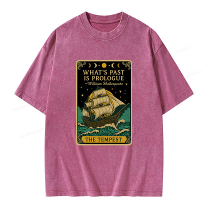 Pagewings What's Past Is Prologue Unisex Washed T-shirt