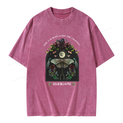 Pagewings Dark Academia Bookish Poe Unisex Washed T-shirt