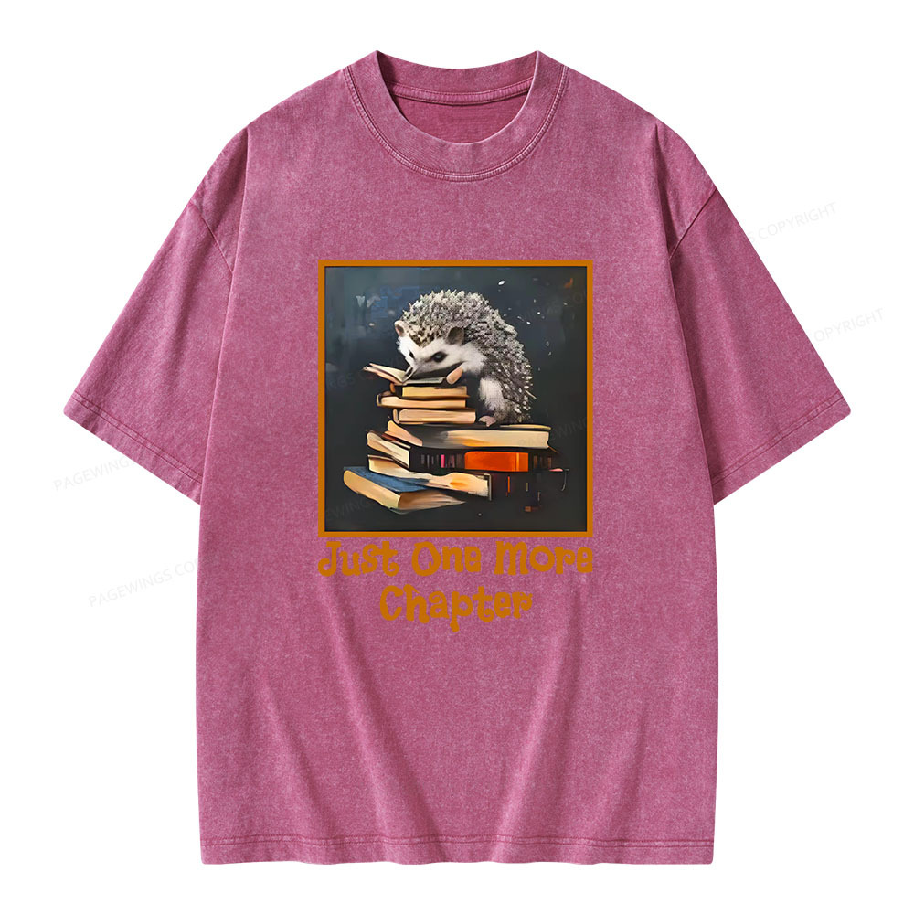 Pagewings Just One More Chapter Unisex Washed T-shirt