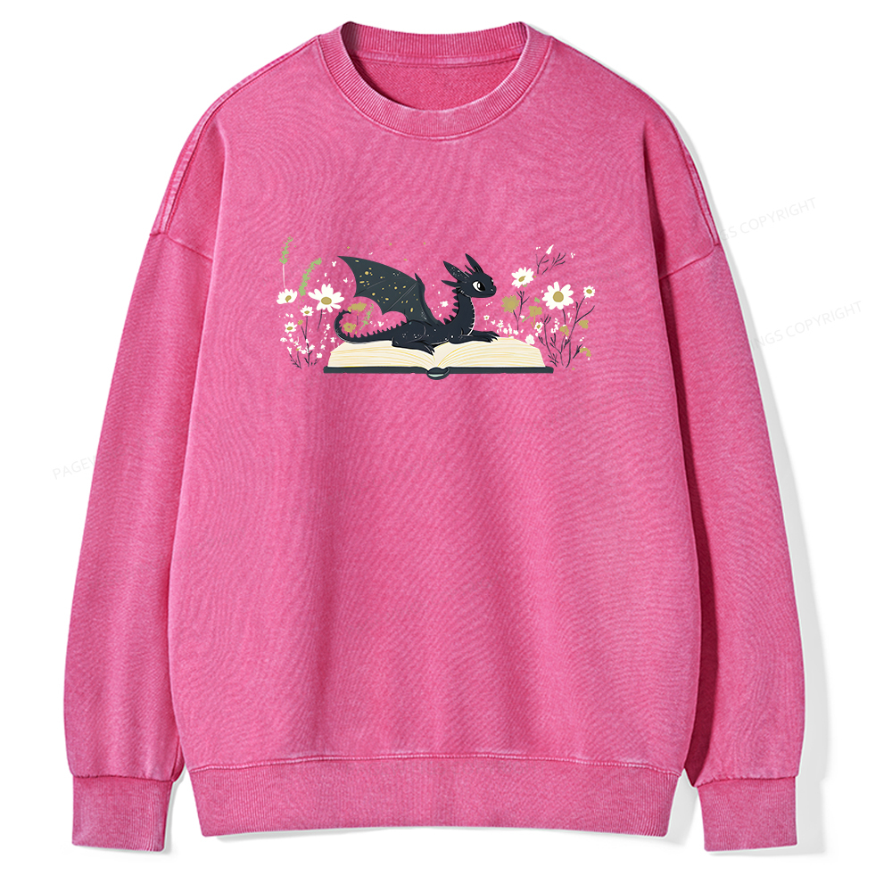 Pagewings Dragon Book Unisex Washed Sweatshirt