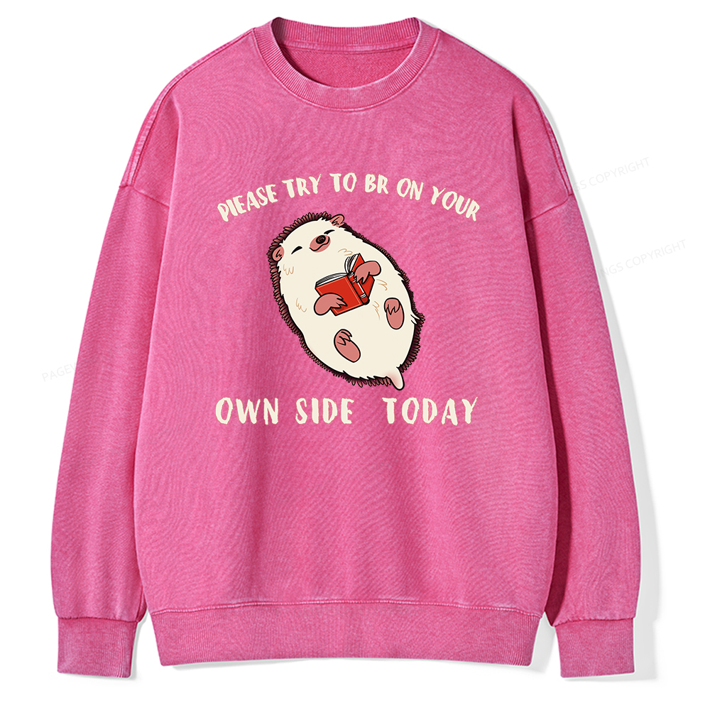 Pagewings Please Try To Be On Your Own Side Today Unisex Washed Sweatshirt