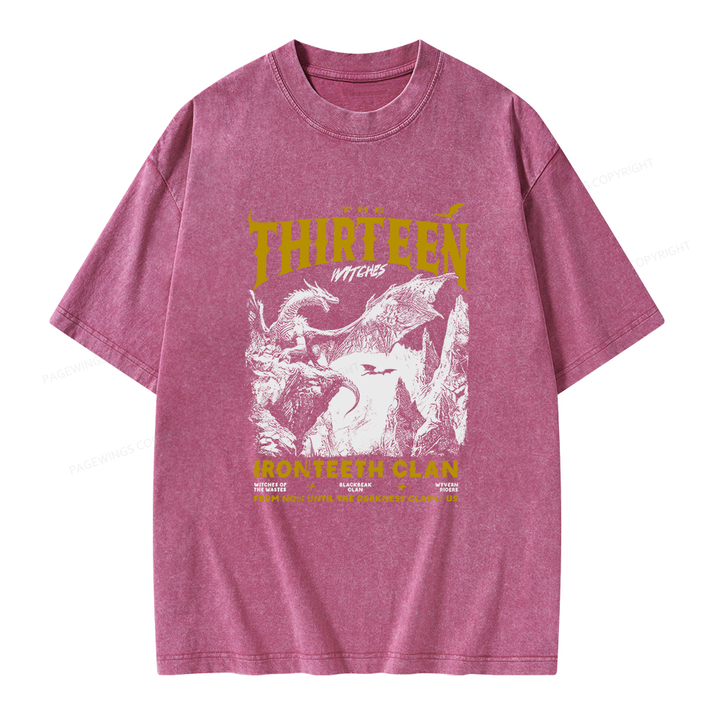 Pagewings The Thirteen Unisex Washed T-shirt