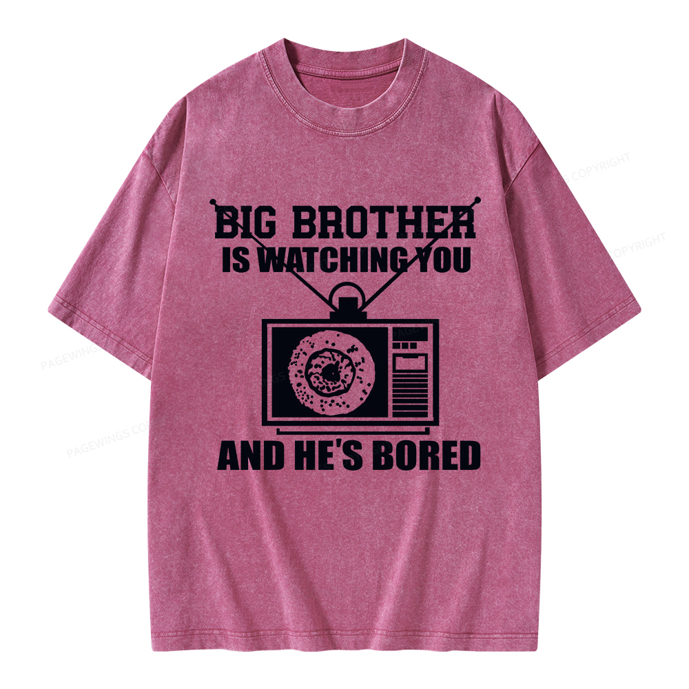 Pagewings Big Brother is Watching Unisex Washed T-shirt