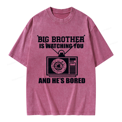 Pagewings Big Brother is Watching Unisex Washed T-shirt