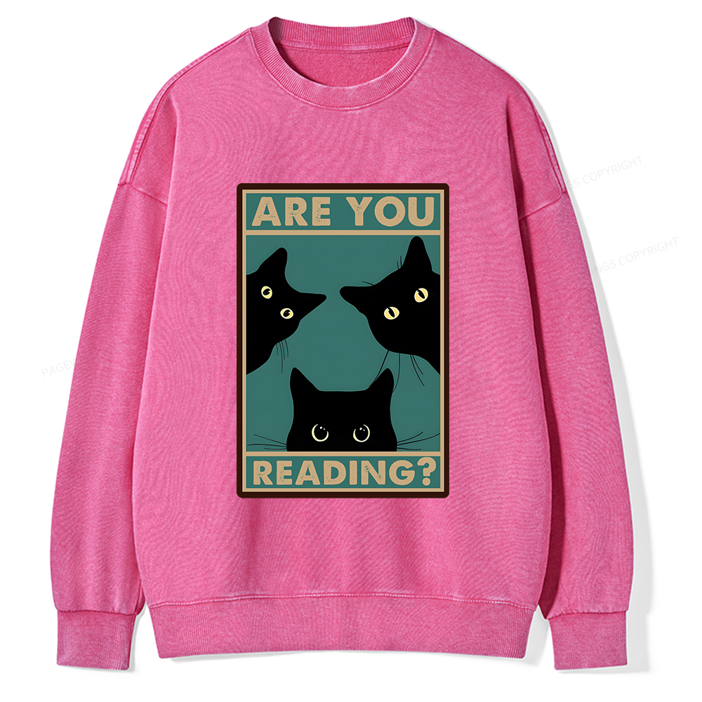 Pagewings Are You Reading Unisex Washed Sweatshirt