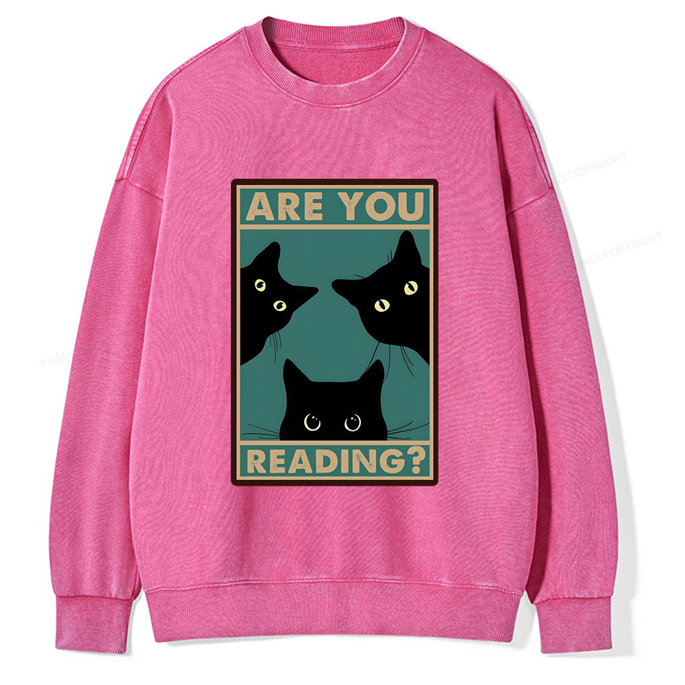 Pagewings Are You Reading Unisex Washed Sweatshirt