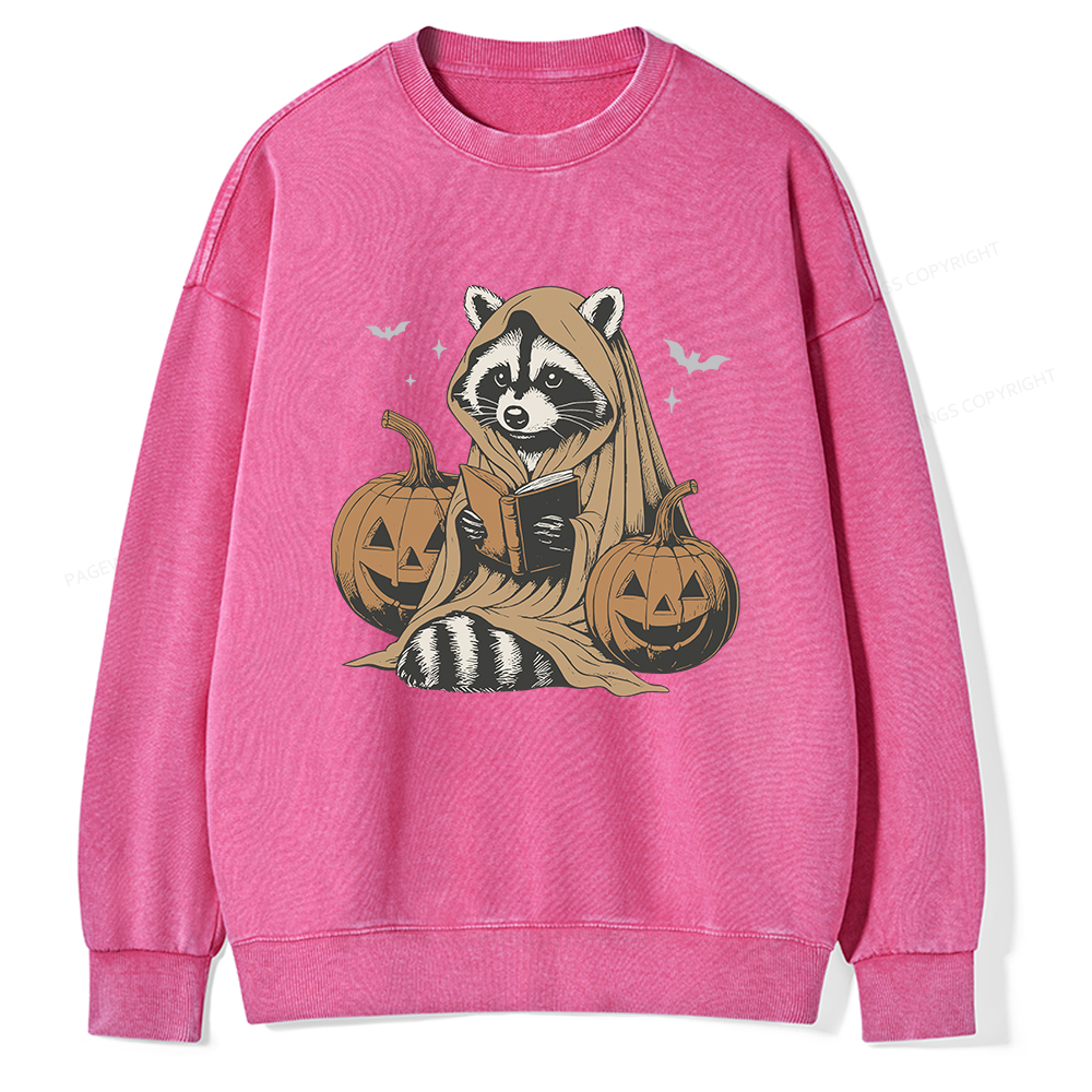 Pagewings Halloween Cute Raccoon Ghost Reading Unisex Washed Sweatshirt