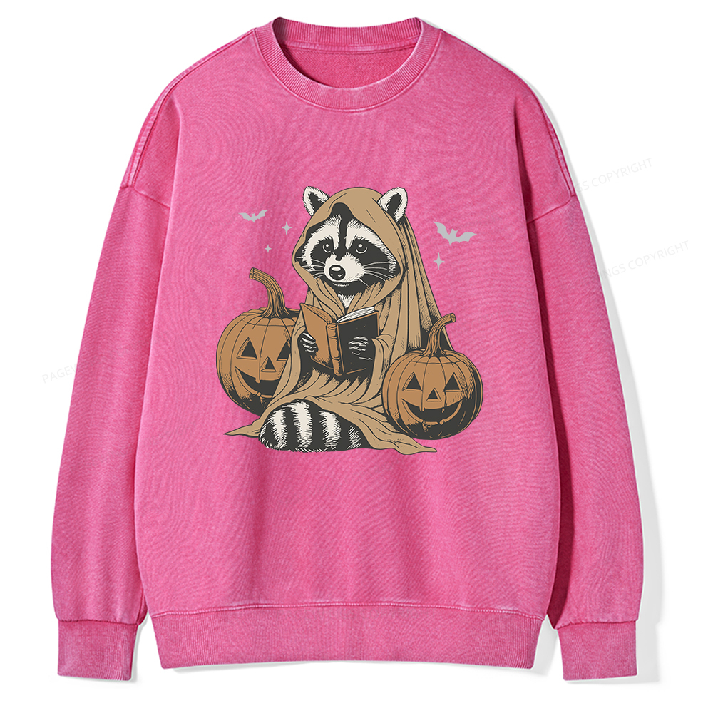 Pagewings Halloween Cute Raccoon Ghost Reading Unisex Washed Sweatshirt