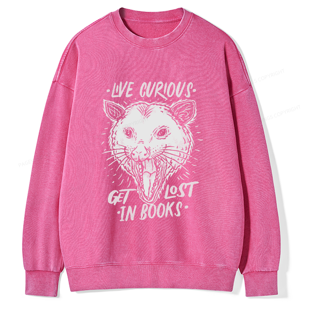 Pagewings Live Curious, Get Lost In Books Unisex Washed Sweatshirt