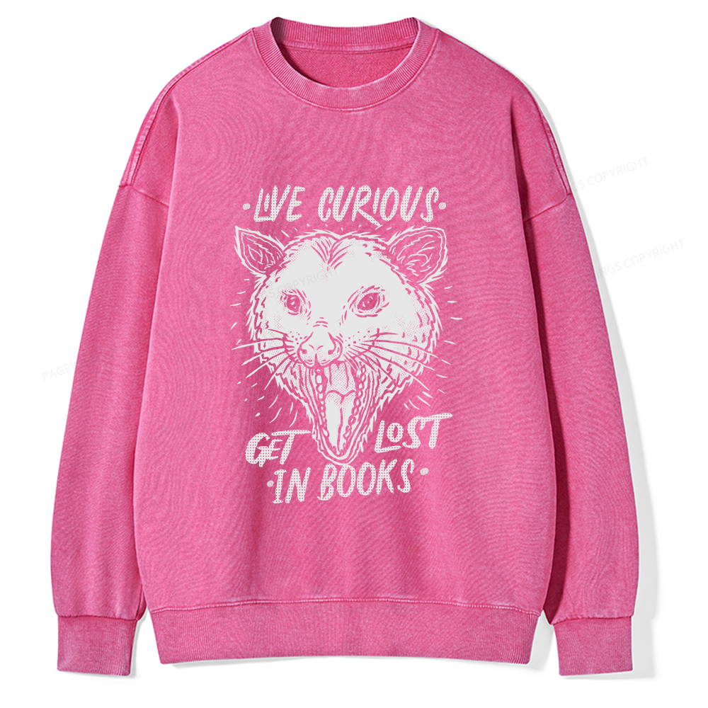 Pagewings Live Curious, Get Lost In Books Unisex Washed Sweatshirt
