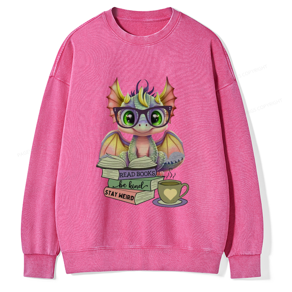 Pagewings Cute Dragon Reading Unisex Washed Sweatshirt