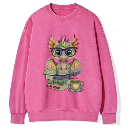 Pagewings Cute Dragon Reading Unisex Washed Sweatshirt