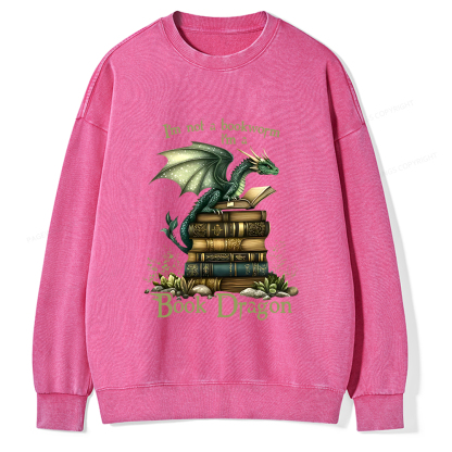 Pagewings Book Dragon Unisex Washed Sweatshirt