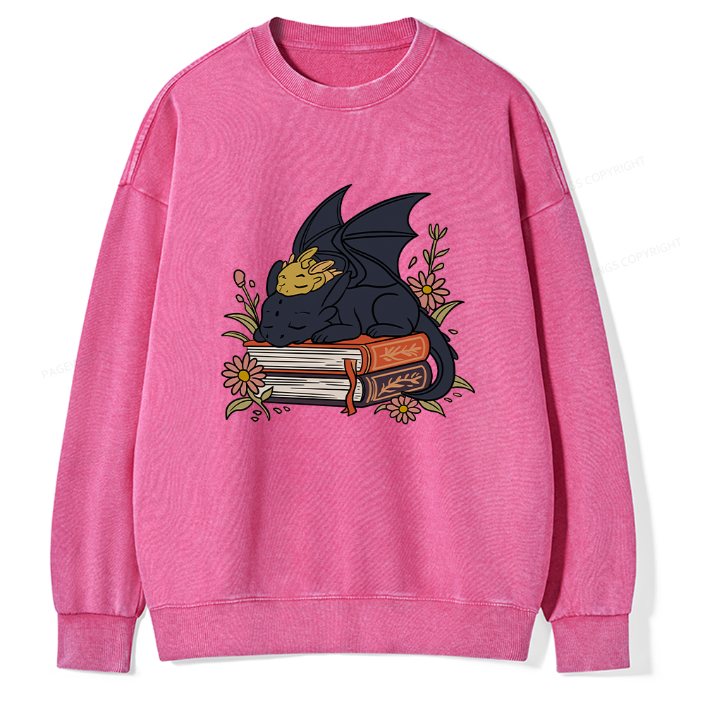 Pagewings Dragon Book Unisex Washed Sweatshirt
