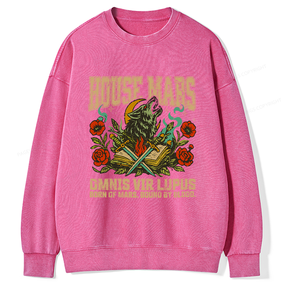 Pagewings House Mars Unisex Washed Sweatshirt