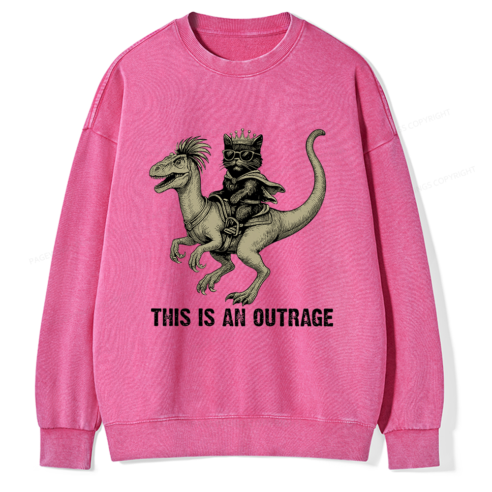 Pagewings Fantasy Book Reader Unisex Washed Sweatshirt