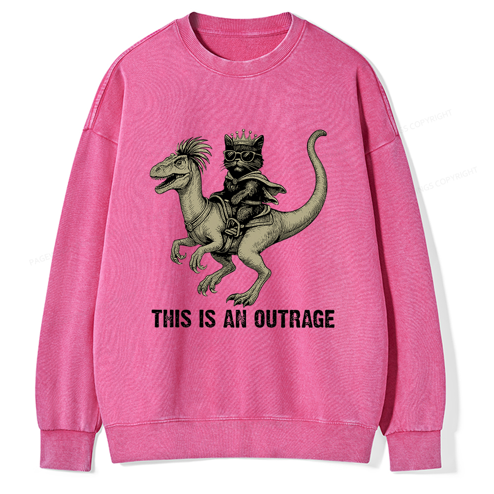 Pagewings Fantasy Book Reader Unisex Washed Sweatshirt