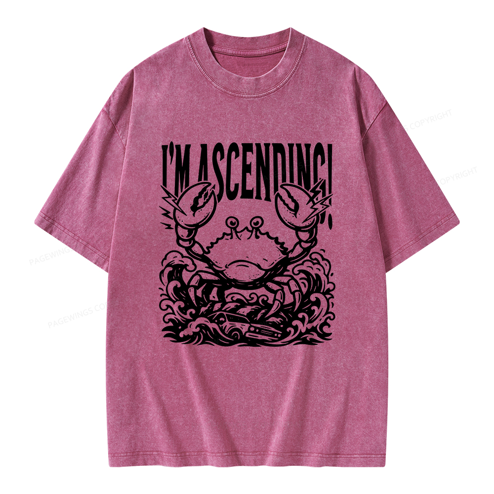 Pagewings I'm Ascending Vintage Unisex Washed T-shirt
