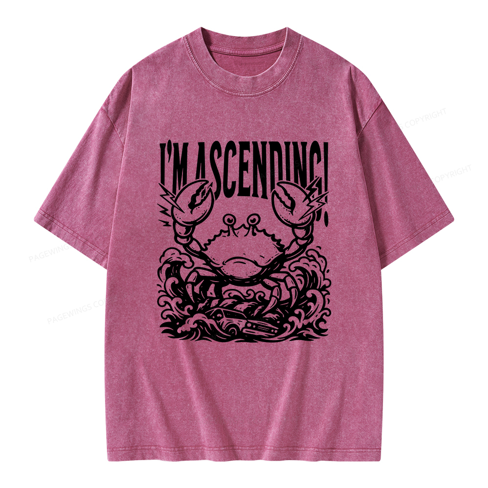 Pagewings I'm Ascending Vintage Unisex Washed T-shirt