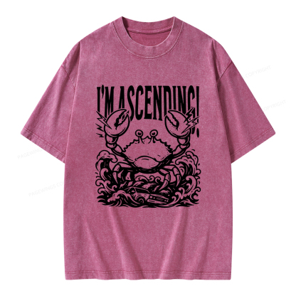 Pagewings I'm Ascending Vintage Unisex Washed T-shirt