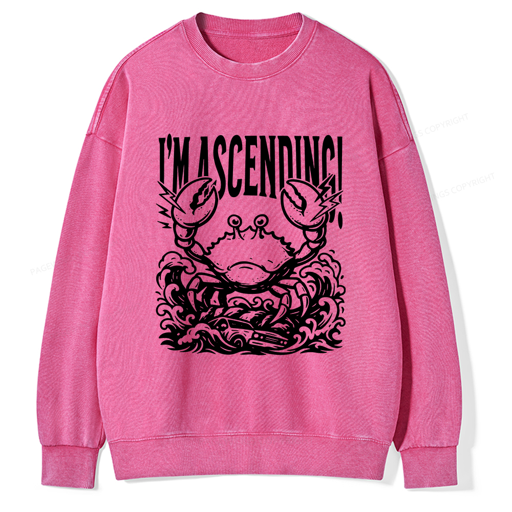 Pagewings I'm Ascending Vintage Unisex Washed Sweatshirt