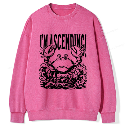 Pagewings I'm Ascending Vintage Unisex Washed Sweatshirt