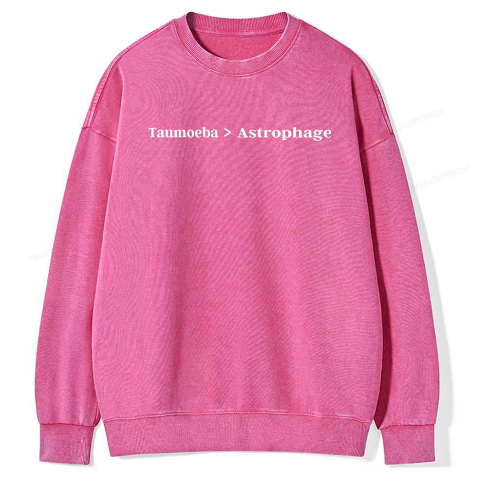 Pagewings Taumoeba Astrophage Unisex Washed Sweatshirt