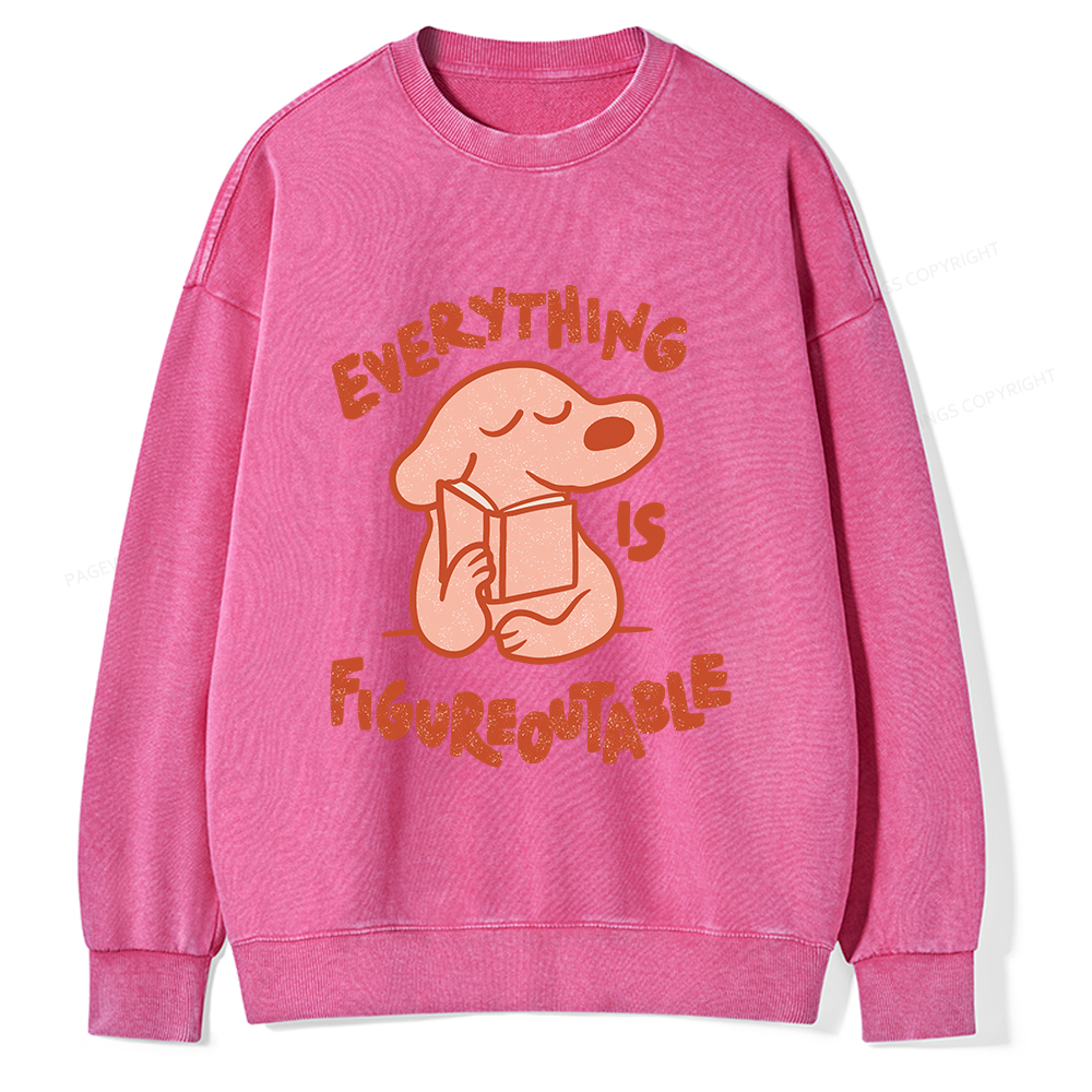 Pagewings Everything Is Figureoutable Unisex Washed Sweatshirt