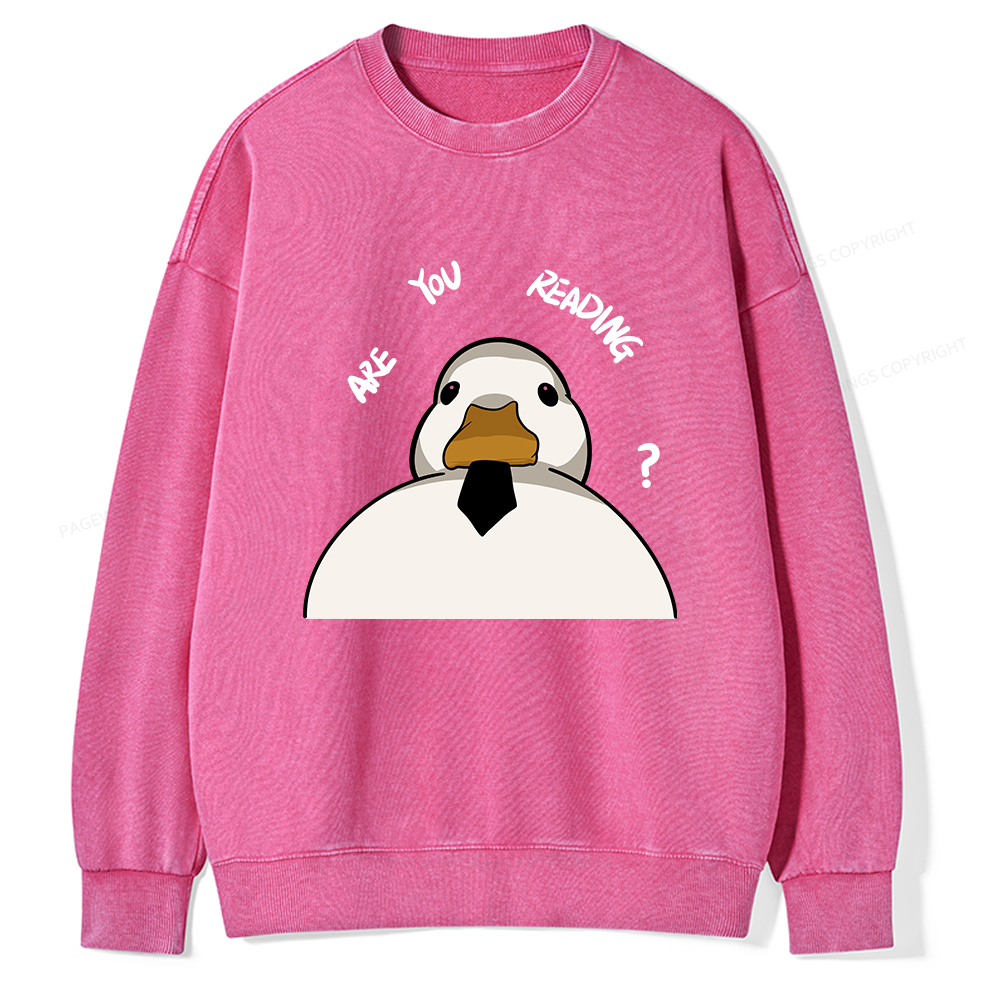 Pagewings Are You Reading Unisex Washed Sweatshirt