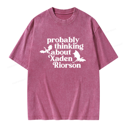 Pagewings Probably Thinking About Xaden Riorson Unisex Washed T-shirt