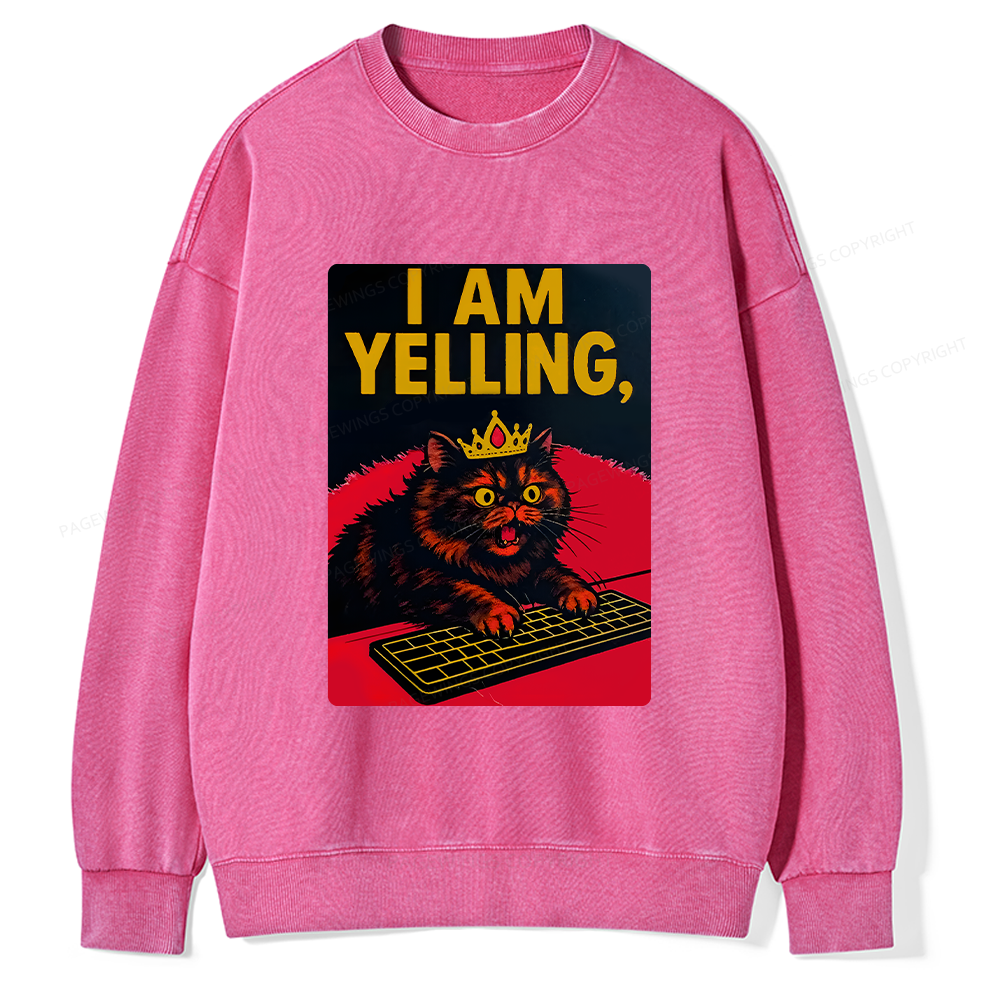 Pagewings Dungeon Crawler Carl Unisex Washed Sweatshirt