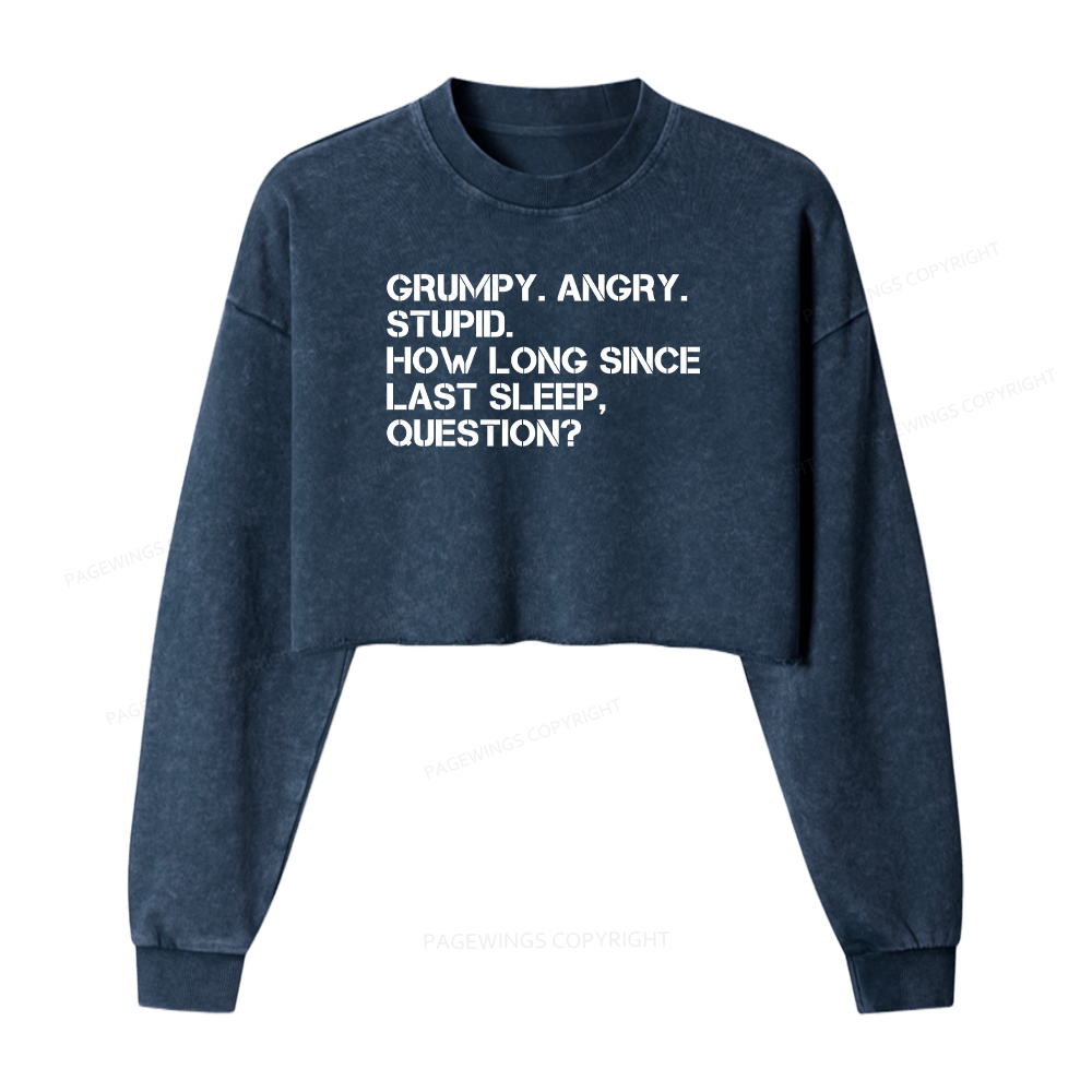 Pagewings Grumpy Rocky Quote Washed Crop Sweatshirt