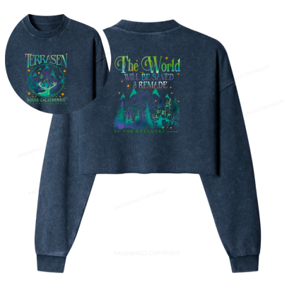 Pagewings Terrasen Washed Crop Sweatshirt