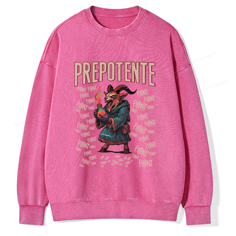 Pagewings Prepotente Unisex Washed Sweatshirt