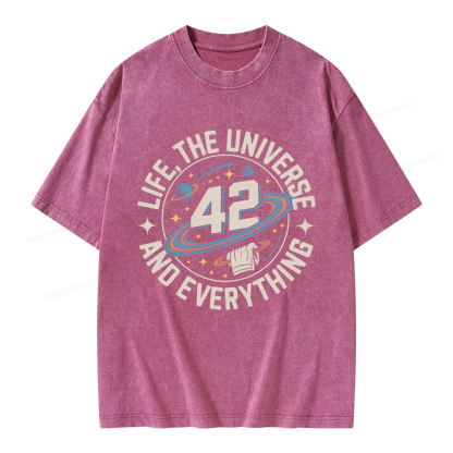 Pagewings Life The Universe And Everything Unisex Washed T-shirt